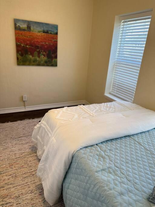 Walk To The Alamodome! Sleeps 6, Pet Friendly Lägenhet San Antonio Exteriör bild